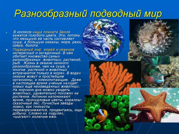 Жизнь морских глубин