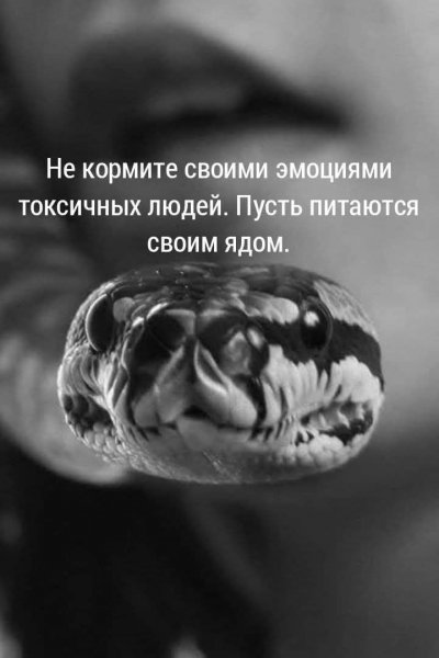 Змея