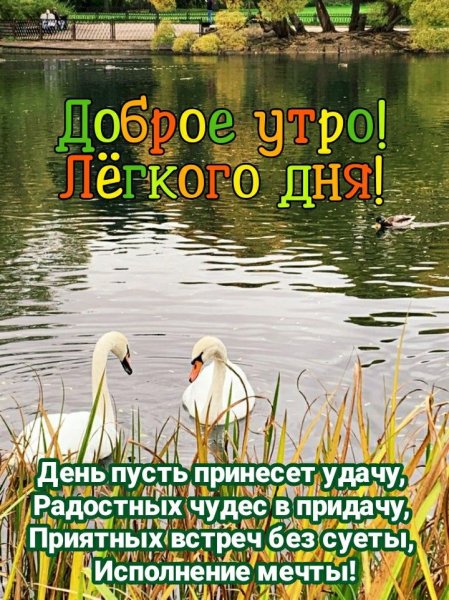 Всем!