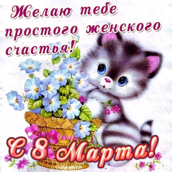 IMG 20180307 184231 1