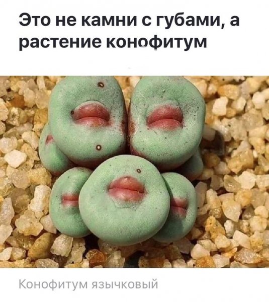 )