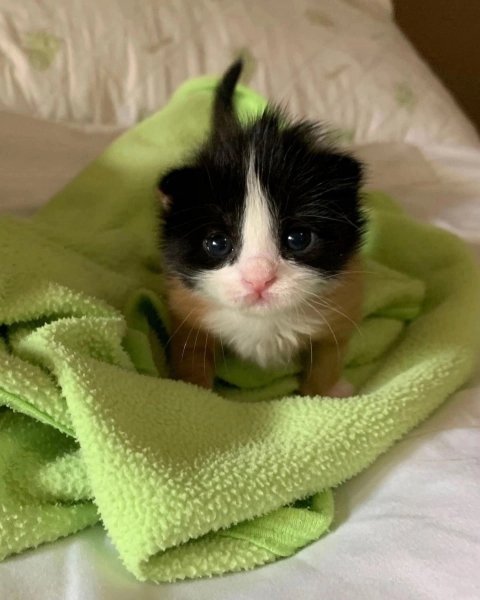 picture_399922727