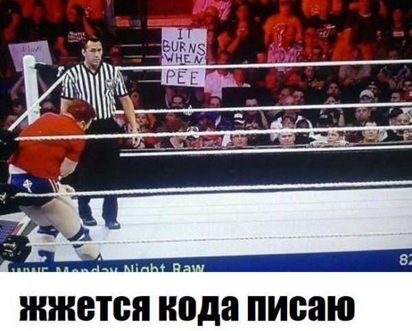 Wwe (174)