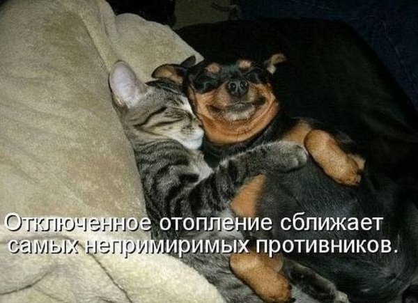 Так! ))