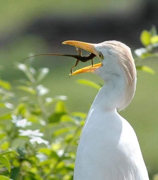 b3b157d9bb330156946f79db97d90