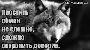 Волк006