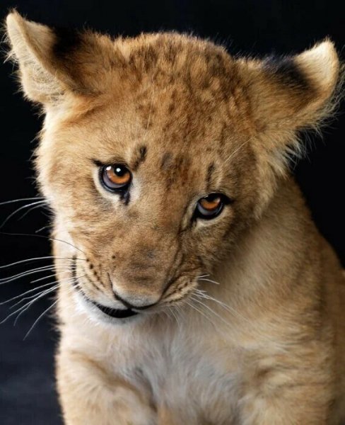 image (3) - 2020-08-18T214344.466