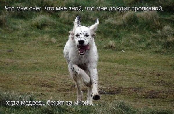 Бежит за мной