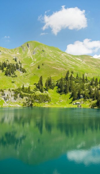 Screenshot 20260122-111416 One UI Home