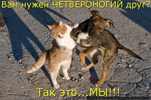 Так это... МЫ!!!