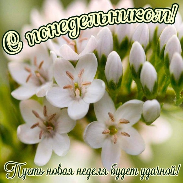 IMG-72f31135a0843597c98a338fc0d6ceb4-V