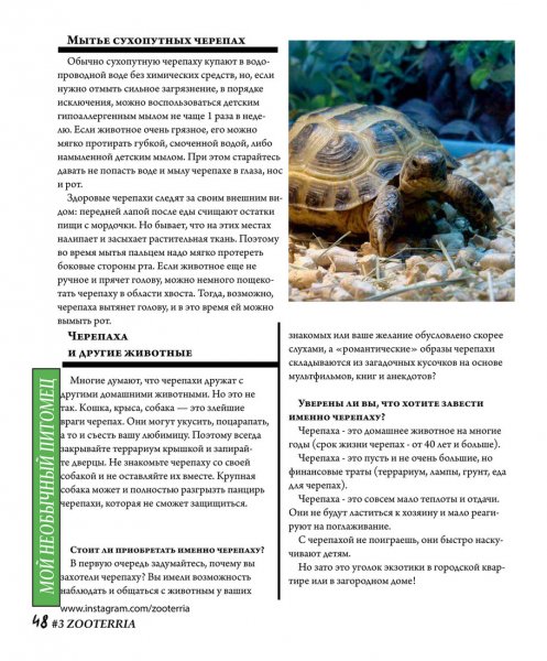 Мой необычный питомец