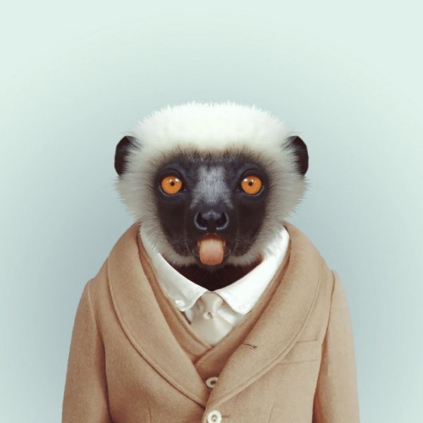 Zoo-Book pixanews-14-680x680