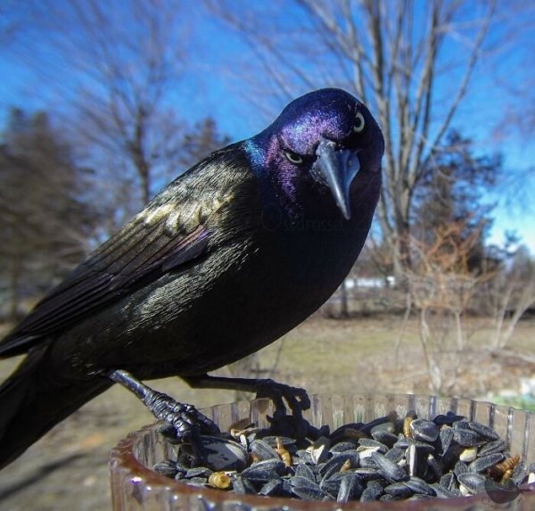 5HQyV2JEJ6mf3f7h86oUIbvW0gwdc239J5T0hIkPUR8JdPabnyWJmMQ4XM