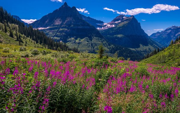 Usa-nature-mountains