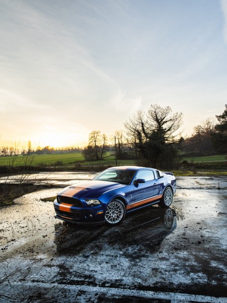 Malcom.in.the.stang 1770695608031