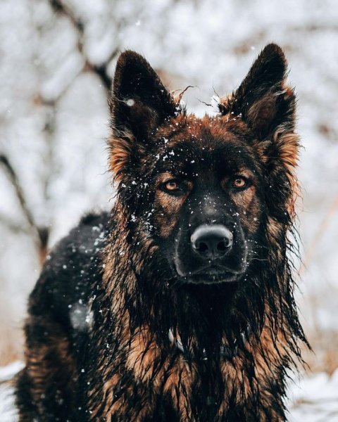 35de015ee3648dd189df28d659a93c22