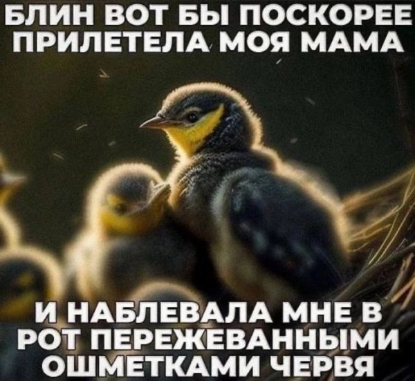 -nastojaschemu-vkusnogo-i-s-perchinkoj-togda-vy-po-adresu-6