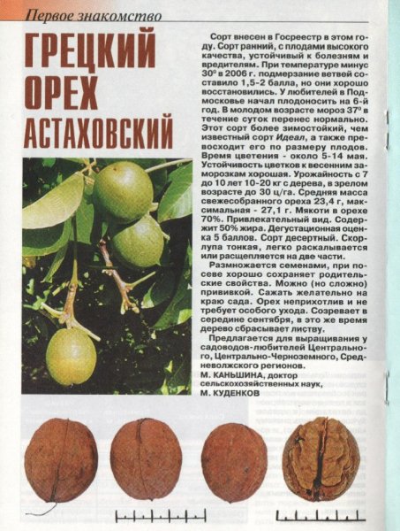 "Астаховский"