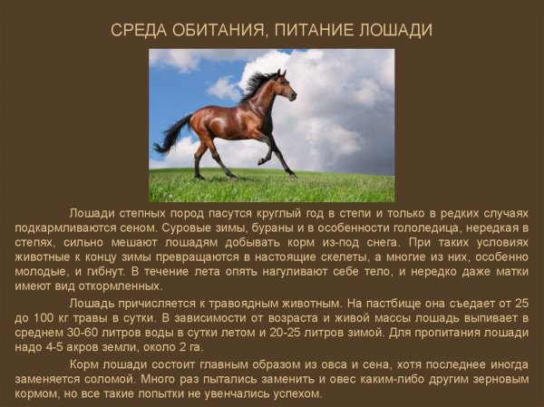 Среда обитания...