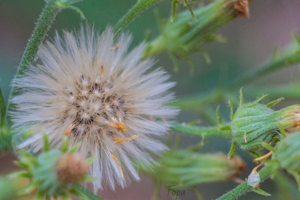 66a78d016b64c IMG 8202 edited