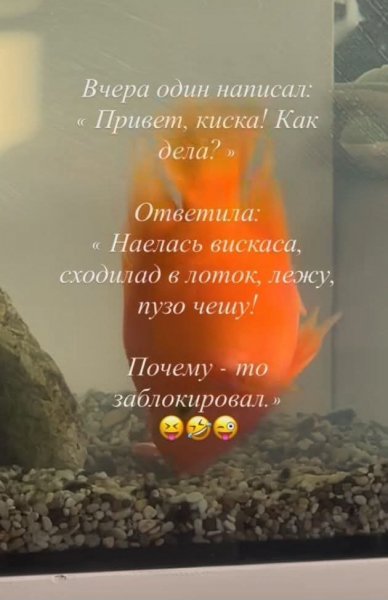 FB IMG 1770903552553