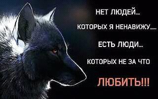 FB IMG 14817170344078011