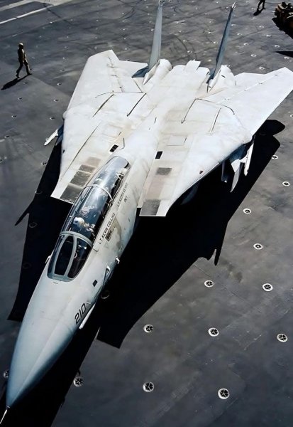 F-14 Tomcat