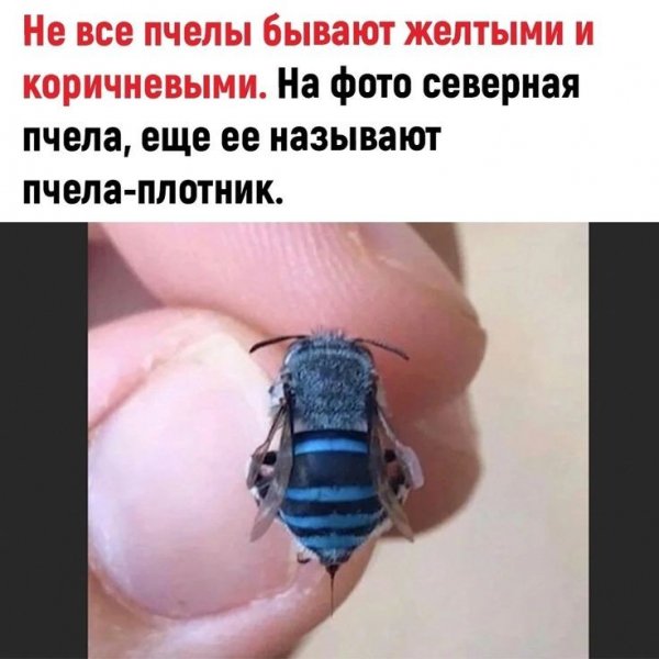 A362dbe24b41e067234030d048f9a1b1
