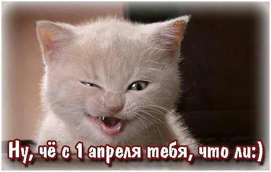 IMG 20180401 152457 51