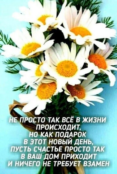 4e25527bdcce42f541b312424de91472