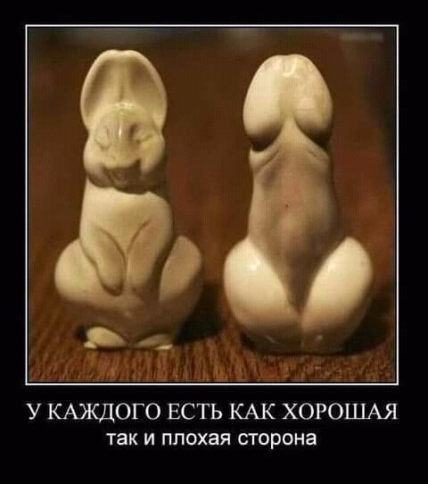FB IMG 16172982906477652
