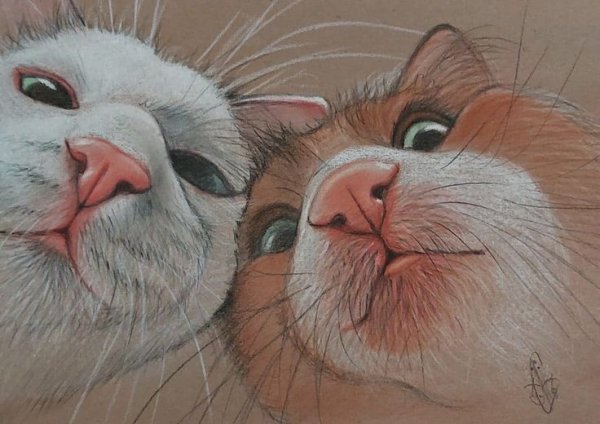 C5176c6942aa5d427d1124d5c9293802