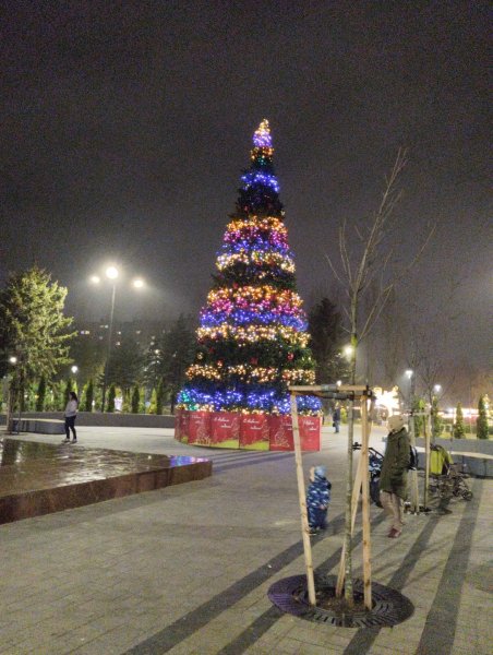 IMG 20221217 190629