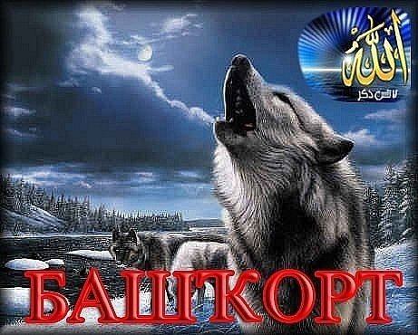 Башкорт