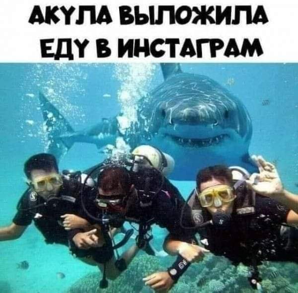 Post-1703931091336489828