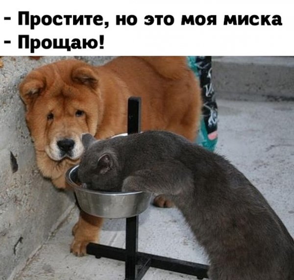 Прощаю!