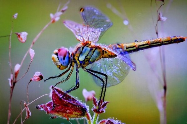 D44507fec98ebdb844ad5b36d7730667