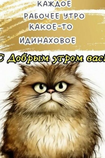 IMG 20250926 184215
