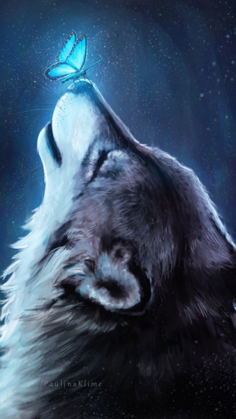 ZamanilkaRUS Wallpaper (421)