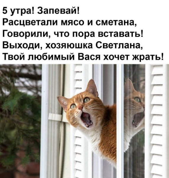 5 утра!