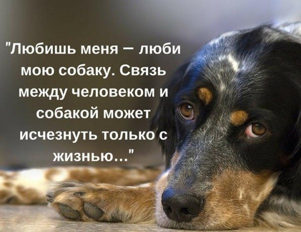 Так!
