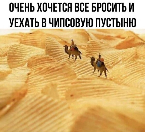 E3c00d2de1 pozitivnaja-podborka-prikolnyh-kartinok-i-memov-8