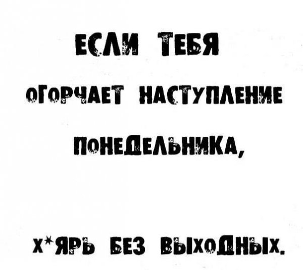 IMG 20260202 244