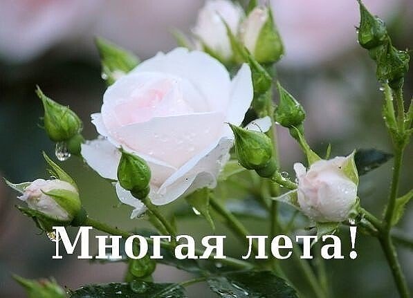 IMG 20210706 000512