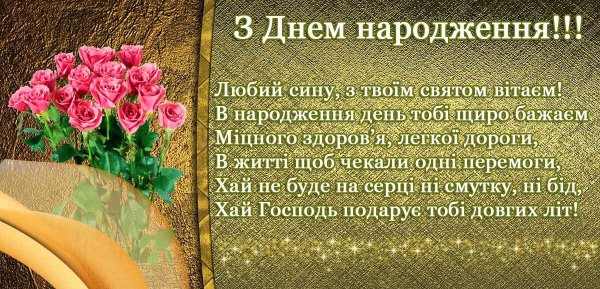 Z-dnem-narodgennia-suny-2 (1)