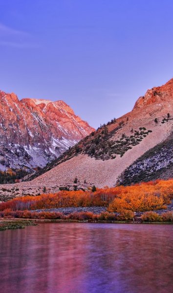 Screenshot 20260222-165640 One UI Home