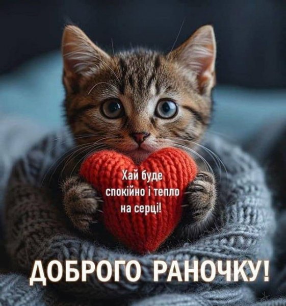 03-03