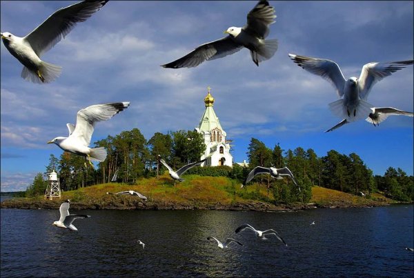 IMG 20190205 205908