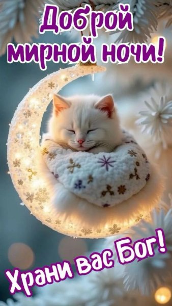 IMG 20260226 215017 376